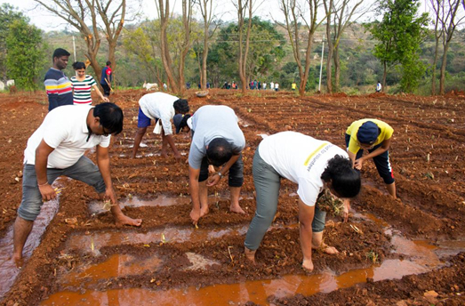 EY Global Delivery Services celebrates International Volunteering Day Week